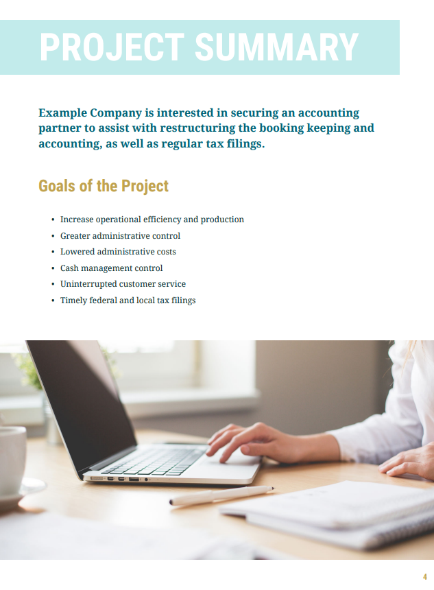 Project summary example in an accounting project proposal